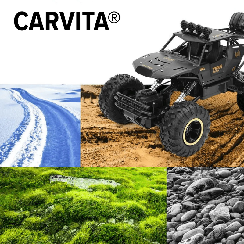 CarVita®