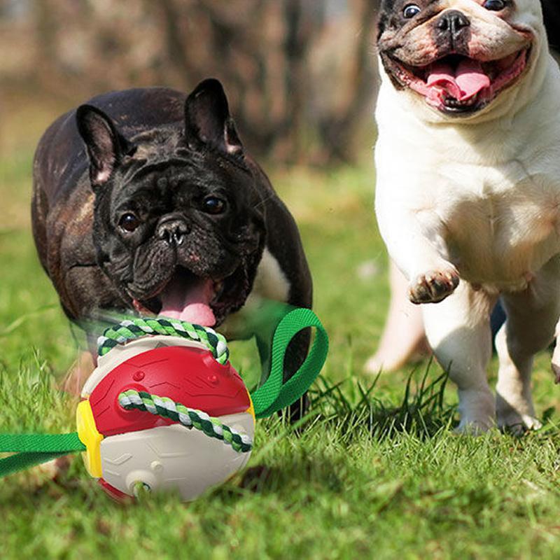 FrisbeeFun®