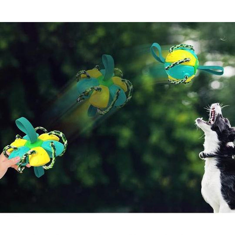FrisbeeFun®
