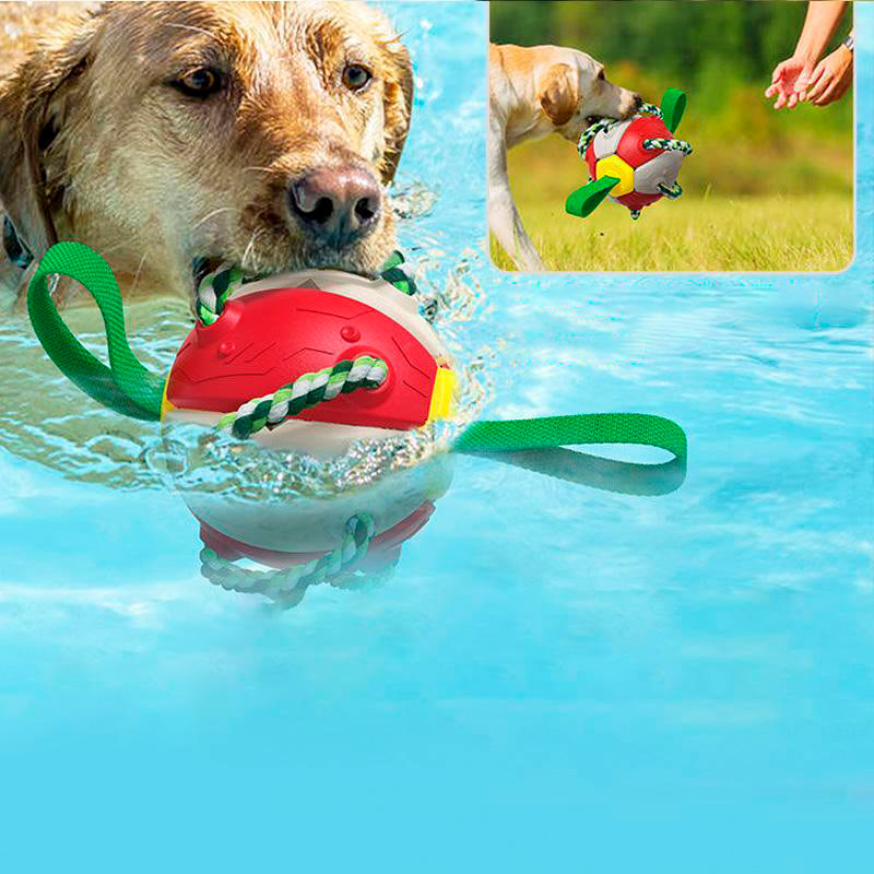FrisbeeFun®