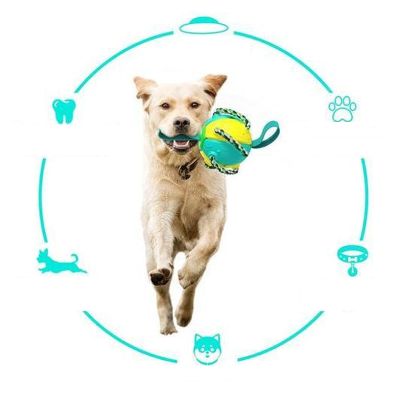 FrisbeeFun®