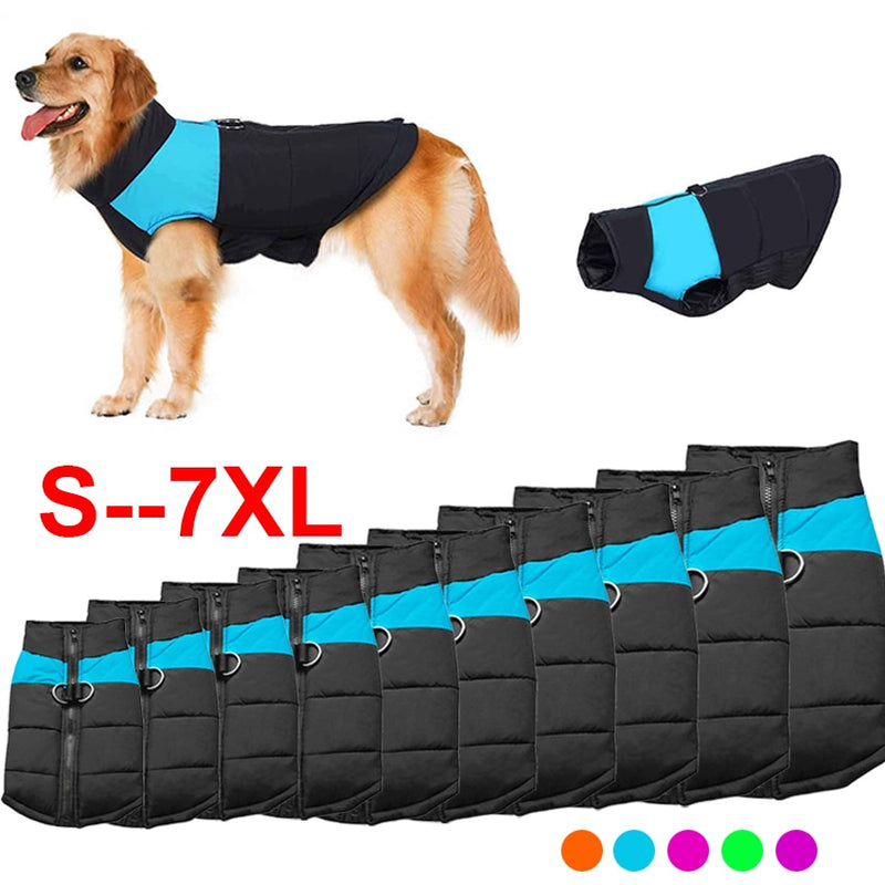 PetJack®