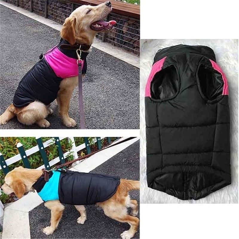PetJack®