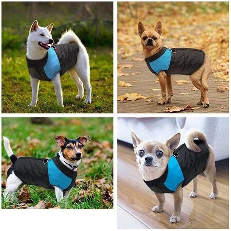 PetJack®