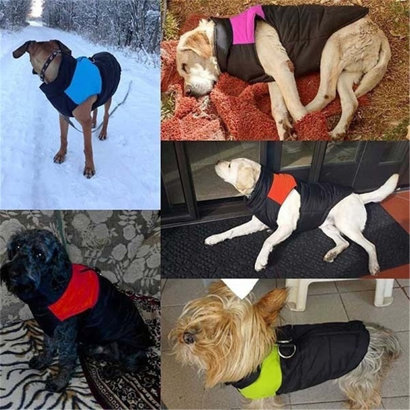 PetJack®