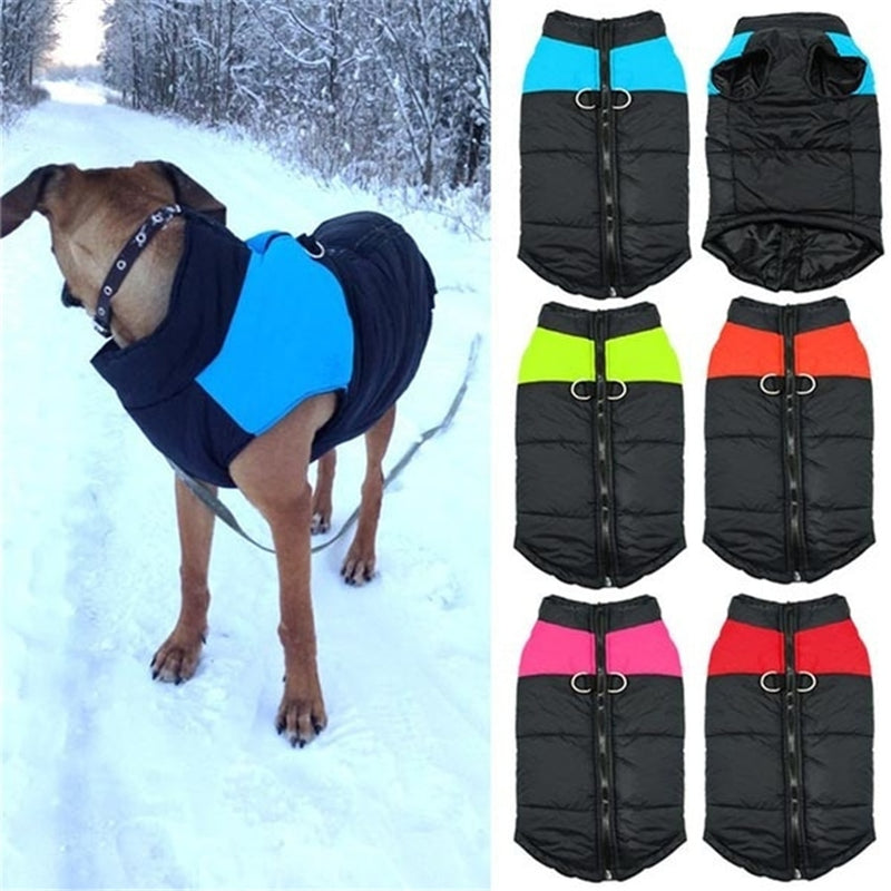 PetJack®