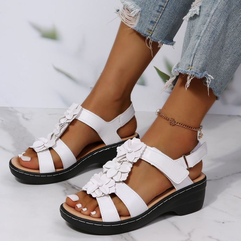 WellShoes®
